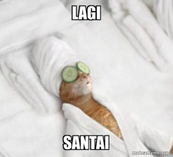 Pampered Cat Meme