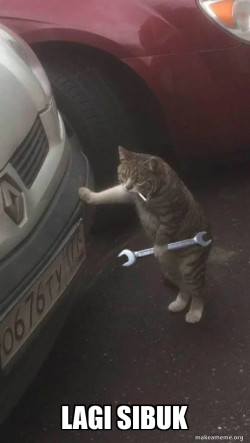 Mechanic Cat