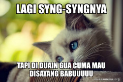 First World Cat Problems