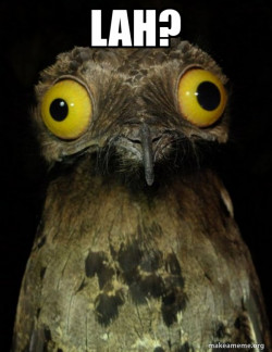 Weird Stuff I do Potoo