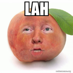 Impeached Donald Trump