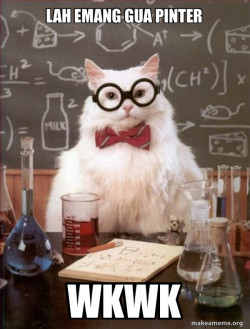 Chemistry Cat
