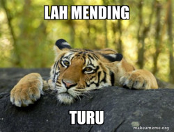 Confession Tiger