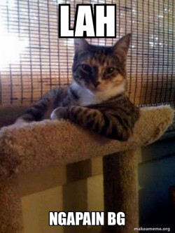 The Most Interesting Cat in the World