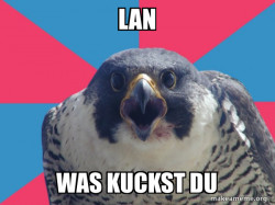 Millennial Falcon