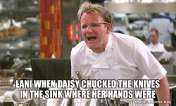 Gordon Ramsay Hell's Kitchen