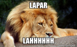 Confession Lion