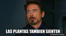 Tony Stark Eye Roll