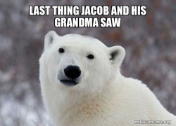 Popular Opinion Polar Bear