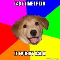 Advice Dog
