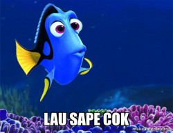 Dory from Nemo  (5 second memory)