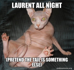 Hairless Cat