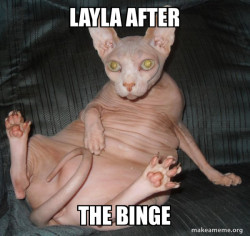 Hairless Cat
