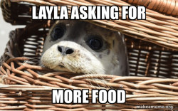 Impending Doom Seal