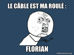 Y U No