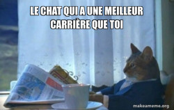 Sophisticated Cat