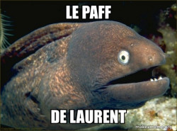 Bad Joke Eel