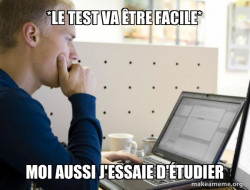 Programmer