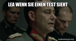 Mein Fuhrer