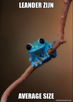 Small Fact Frog