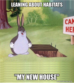 Big Chungus