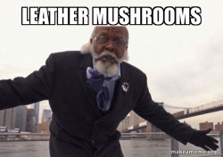 Too Damn Low (Jimmy Mcmillan)