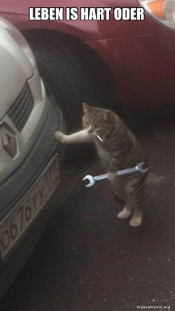 Mechanic Cat