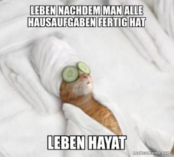 Pampered Cat Meme