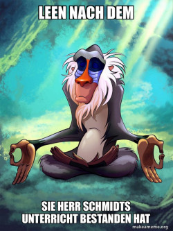 Rafiki Meditating - Lion King