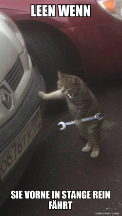 Mechanic Cat
