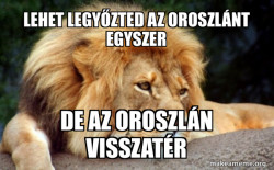 Confession Lion