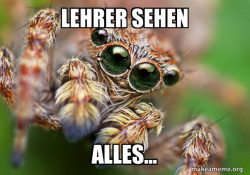 Hipster Spider