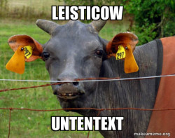 Hairless Cow