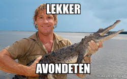 Steve irwin