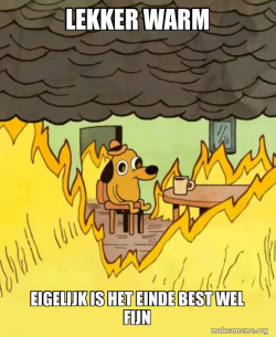 This Is Fine