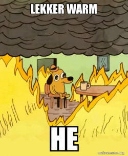This Is Fine