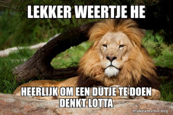 Contemplative Lion