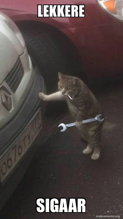 Mechanic Cat