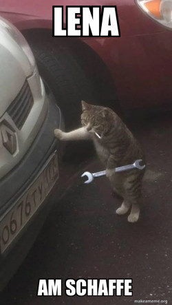 Mechanic Cat