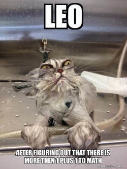 Cat Bath Returns