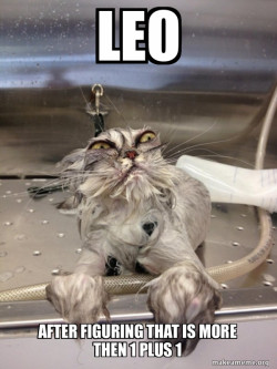 Cat Bath Returns