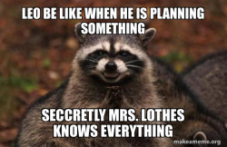 Evil Plotting Raccoon