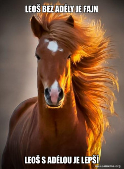 Ridiculously photogenic horse