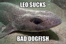 Dirty Joke Dogfish