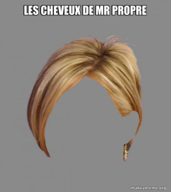 The Karen Hair