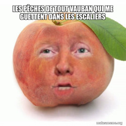 Impeached Donald Trump