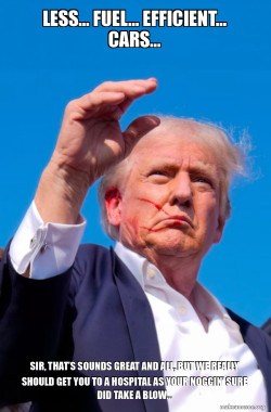 Trump Shot