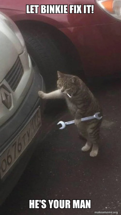 Mechanic Cat