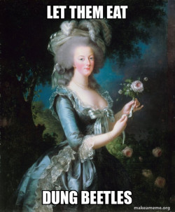 Marie Antoinette Let Them Eat Cake