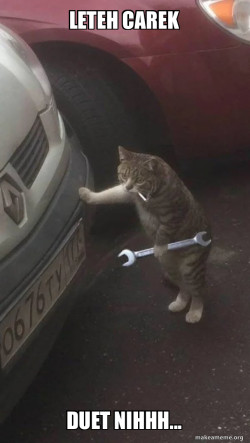 Mechanic Cat